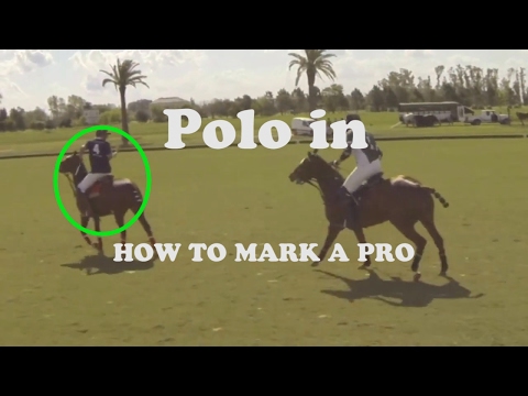 Professional Polo 06 How to Mark a Pro