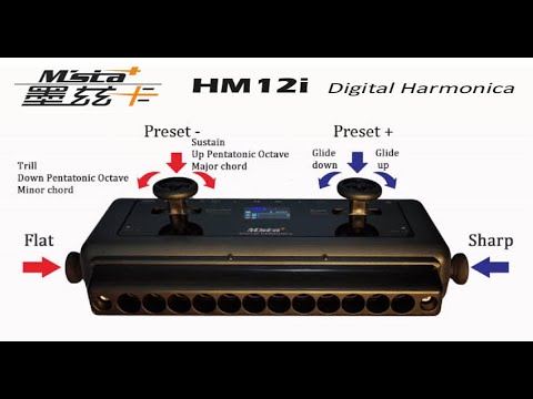 HM12  - CHINESE MIDI HARMONICA - Demo and Review by Brendan Power