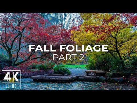 Fall Foliage in Leavenworth Waterfront Park 4K | Animated TV Screensaver + Nature Sounds - #2