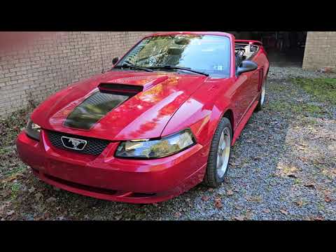 2001 Ford Mustang GT (CC-1774372) for sale in BRIDGEPORT, WV, West Virginia