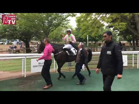 Réaction à chaud de Paul Townend, après la victoire de Bénie des Dieux