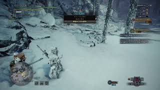 [MH IB]まだ全然ストーリー終わってないww　頑張って進めます。