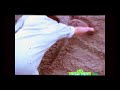 Sesame Street Episode 4020 FULL