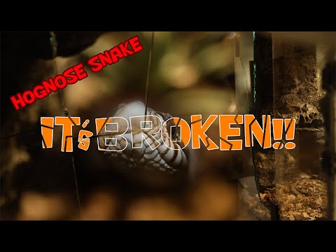 this is how to replace broken glass form a terrarium (tutorial and background video)