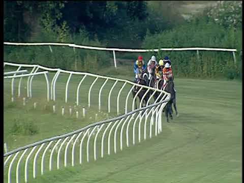 Galoppo 03/08/2019 - 4ª corsa