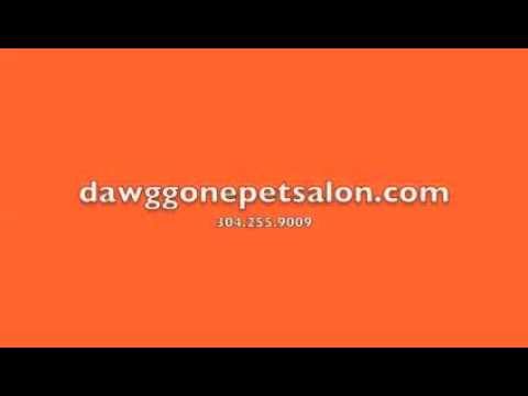 I want dawg gone pet salon!