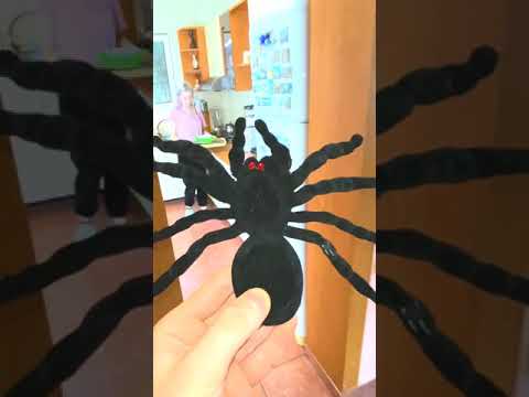 DON'T watch this Prank 2 #Shorts