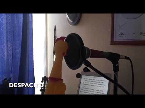 Despacito Mal anders😂😂😂