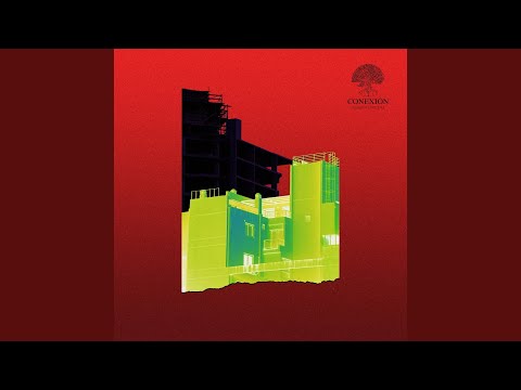 Conexión - Joaquin Ludueña