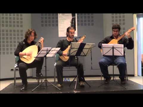 La Suave Melodia e sua Corrente di A. Falconieri