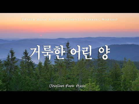 HOLY LAMB | 하나님과 함께하는 편안한 기도음악 | Prayer Music And Instrumental Soaking Worship