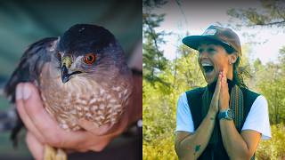 Inside the Intermountain Bird Observatory (They Need Your Help!)