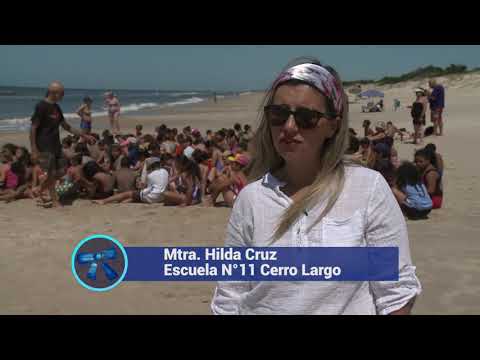 Campamento y escuela al aire libre en el Pinar
