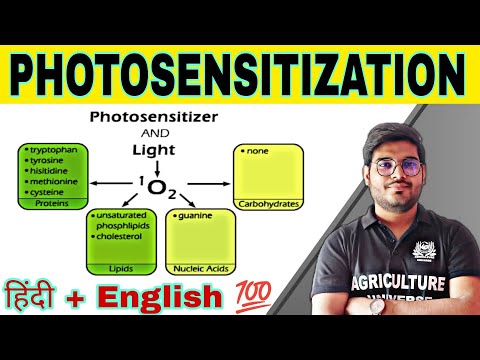 defination allopolyploid allopolyploid kya hai allopolyploid in hindi what is allopolyploid