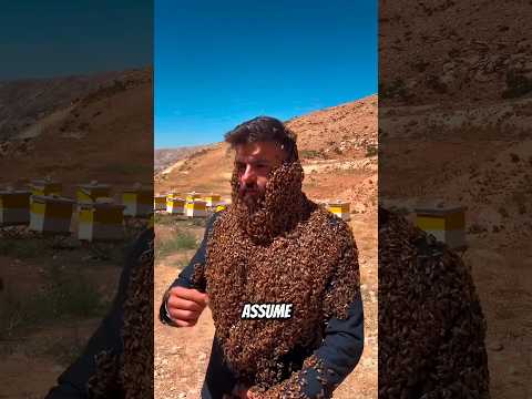 Why Bees Don't Sting Beekeeper