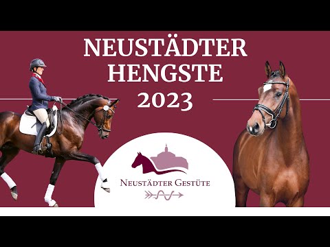 Neustädter Hengste 2023