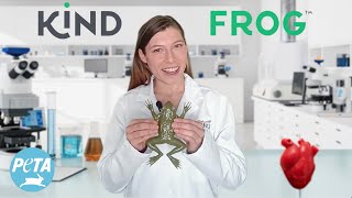 TeachKind Kind Frog Dissection Lesson