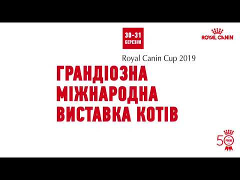 “Royal Canin Cup 2019” Ukraine - ODESSA