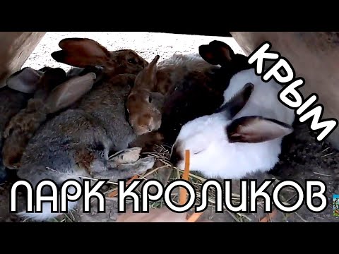 Кроликопарк. Парк кроликов. Парк кроликов Червоное Крым.