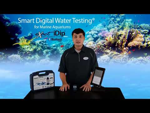 Digital water testing meter