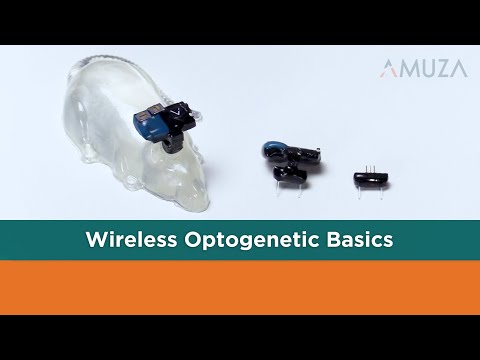 Teleopto Wireless Optogenetics System Introduction