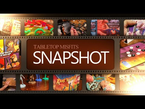 Snapshot - The Rival Networks