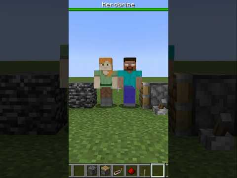 Peteson Craft: What Happens when Alex and Herobrine Meet?