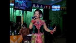 Download lagu Kembang Rawe_ Mekar Asri mp3