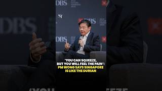Prime Minister Lawrence Wong on how Singapore is like a durian.
