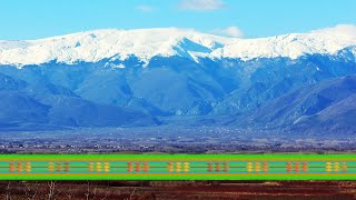 Peter Green - Loser Two Times