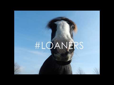 #LOANERS No rope.. No halter Day 3 Corona lock down no riding