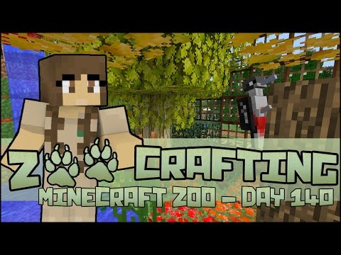 Drumming of Pileated Woodpeckers!! 🐘 Zoo Crafting: Season 2 - Episode #140