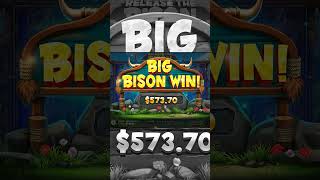 Big Bison Win in Release the Bison slot slot casino releasethebison Video