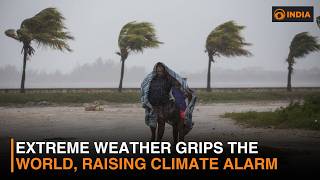 Extreme weather puts the planet in peril & more news | DD India Newshour | 9 PM IST