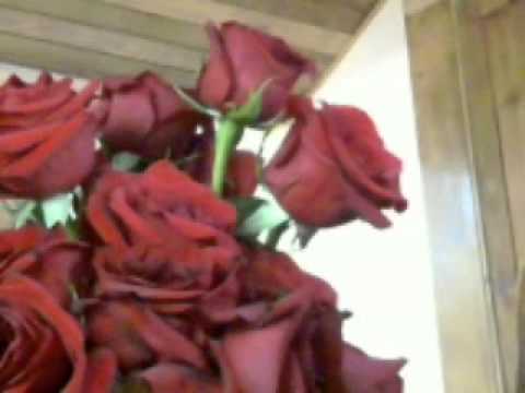 Our Love Is Here To Stay by George Gershwin