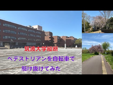 教育学類 筑波大学縦断 〜 ペデストリアンを自転車で駆け抜けてみた 〜