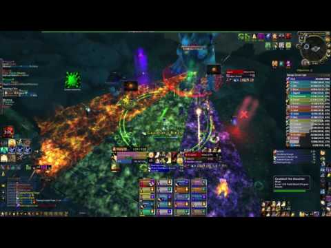 Myst vs Guarm Mythic holy paladin PoV