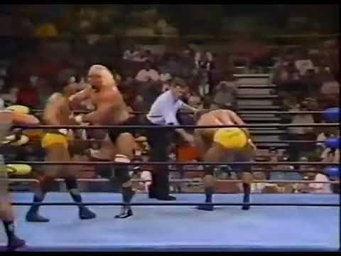 Pretty Wonderful (Paul Orndorff Paul Roma) vs. Kevin Sullivan Dave Sullivan - 8/16/1994 - WCW