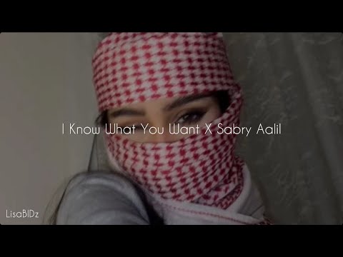 Sabry Aalil X I know what you want (Sped Up TikTok)