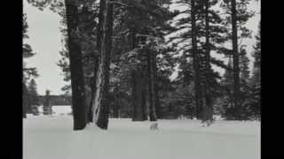 Delorentos - Winter Song