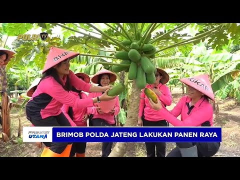 BRIMOB JATENG PANEN RAYA PULUHAN KILO SAYUR DAN 5000 EKOR IKAN NILA