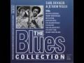 Earl Hooker & Junior Wells / You Dont Care