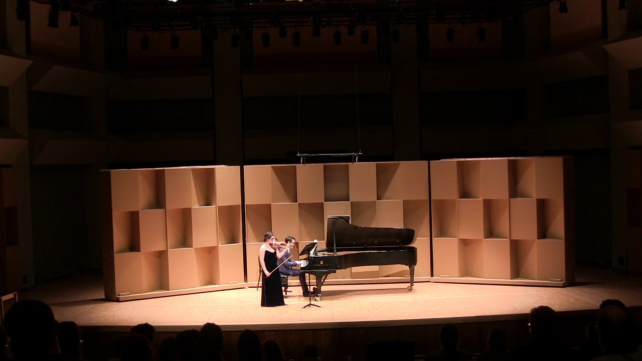 Promotional video thumbnail 1 for Violin for all Occasions