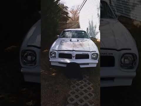 1976 Pontiac Firebird Trans Am (CC-1006781) for sale in Maple Shade, New Jersey