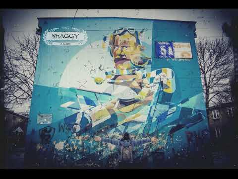 SHAGGY SHG - WJEŻDŻAM NA REJONY (2018)