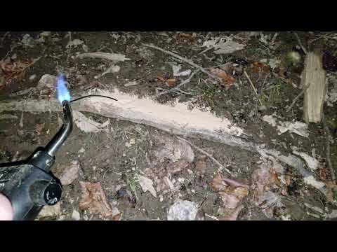 Orange Star Comp. Veline Orange