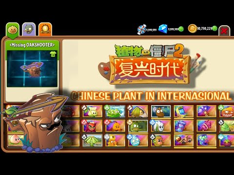 CHINESE PLANT IN INTERNASIONAL - OAKSHOTER
