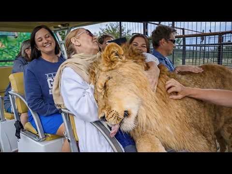 When the Animal Distribution System Caught Being Totally Wrong 🤣