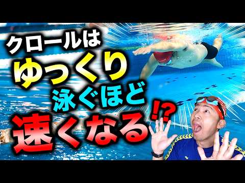 カルバクロールについて詳しく解説