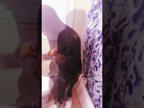 Smb Shawn - Can't Relate